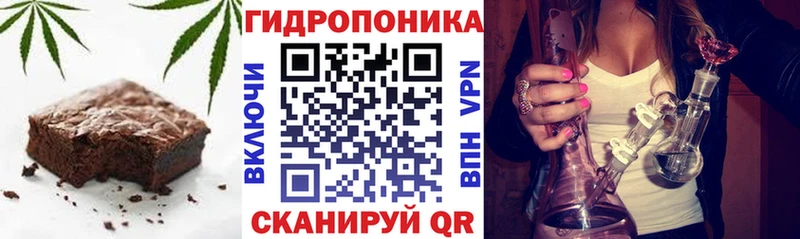 магазин продажи наркотиков  Гвардейск  Canna-Cookies конопля 