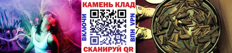 дарнет шоп  Гвардейск  Гашиш VHQ 