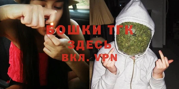 ГАЛЛЮЦИНОГЕННЫЕ ГРИБЫ Верея