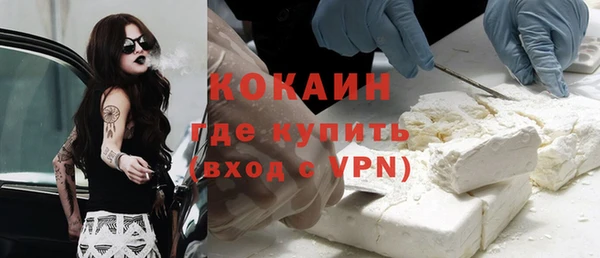 ГАЛЛЮЦИНОГЕННЫЕ ГРИБЫ Верея