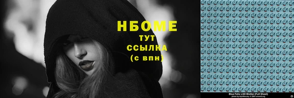 ГАЛЛЮЦИНОГЕННЫЕ ГРИБЫ Верея