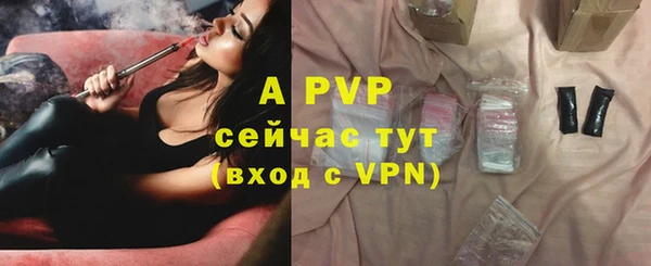 ГАЛЛЮЦИНОГЕННЫЕ ГРИБЫ Верея