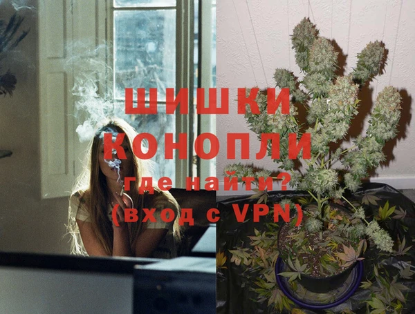 ГАЛЛЮЦИНОГЕННЫЕ ГРИБЫ Верея