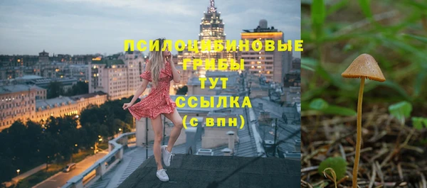 соль ск Верхнеуральск