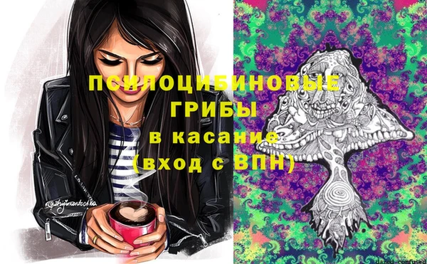 соль ск Верхнеуральск