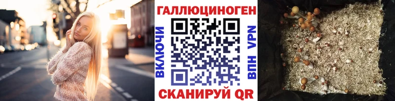 наркотики Гвардейск Псилоцибиновые грибы прущие грибы
