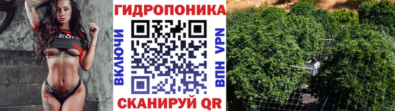 МАРИХУАНА LSD WEED  где найти наркотики  кракен как зайти  Гвардейск 